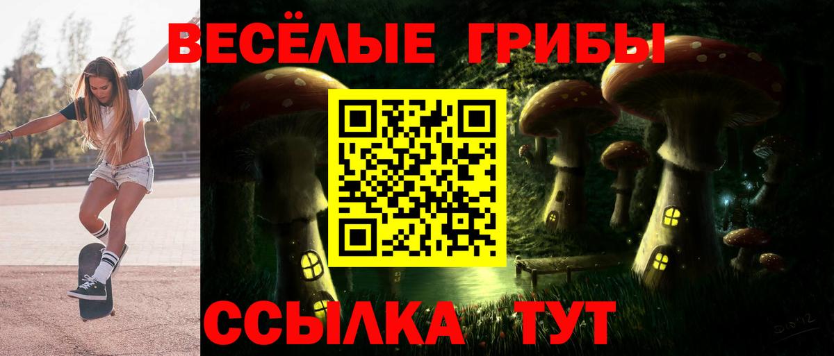 Псилоцибиновые грибы мицелий Ишим